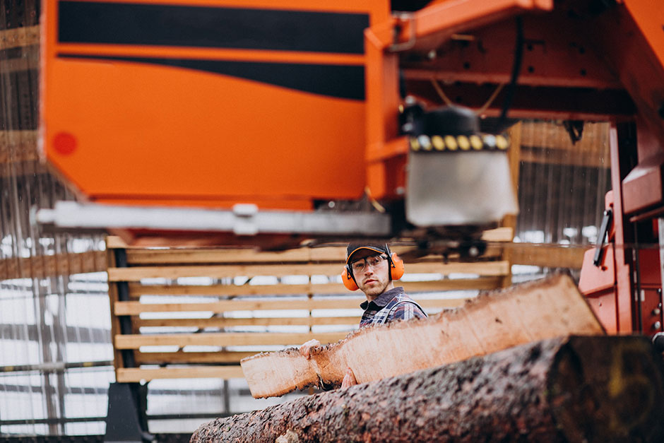 carpenter working sawmill wood manufacture