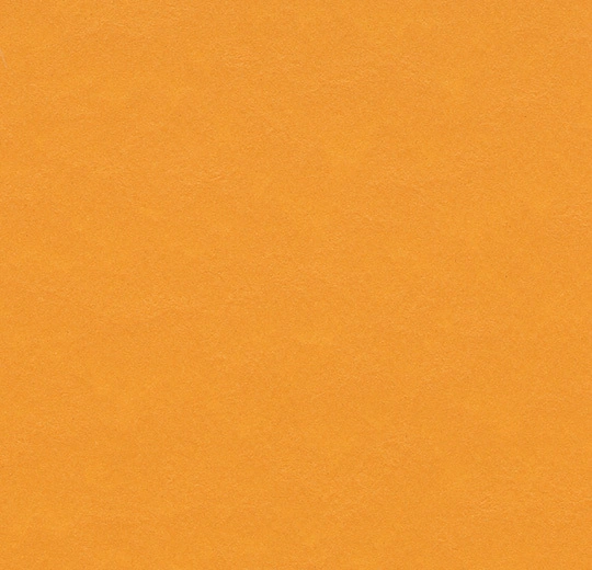 Pumpkin Yellow